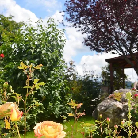 Bed & Breakfast La Terrazza Del Subasio Assisi