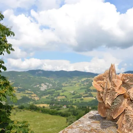 La Terrazza Del Subasio 2* Assisi